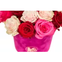 Květinový box růží